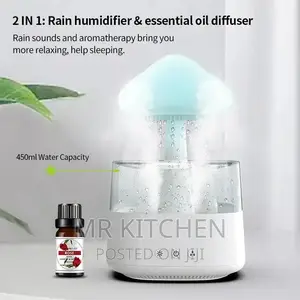 Rain Drop Humidifier