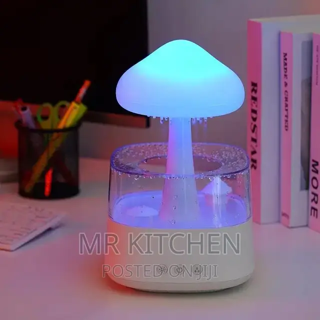 Rain Drop Humidifier