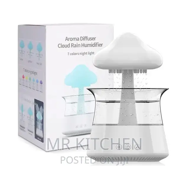 Rain Drop Humidifier