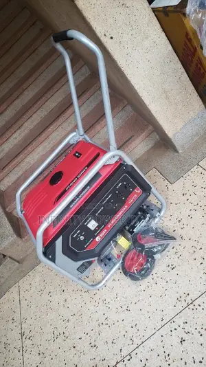 Petrol Generator PT-RWD6000A-S