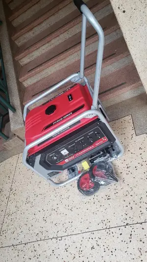 Petrol Generator PT-RWD6000A-S