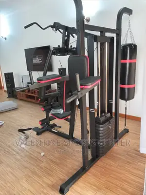 Full Gym Set Original Material Is Available in Your Stock