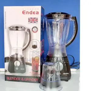 Endea 2in1 Blender and Grinder.