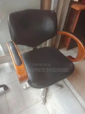 Salon Chair