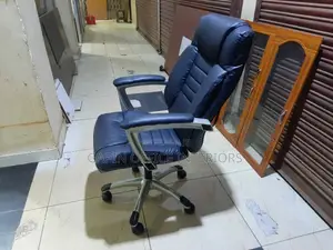 Executive Long Back Office Chair