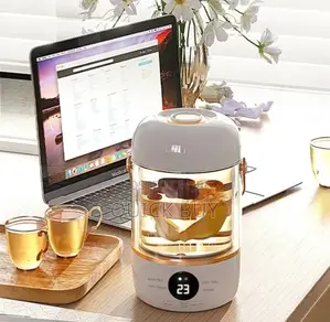 900ml Multifunction Electric Kettle