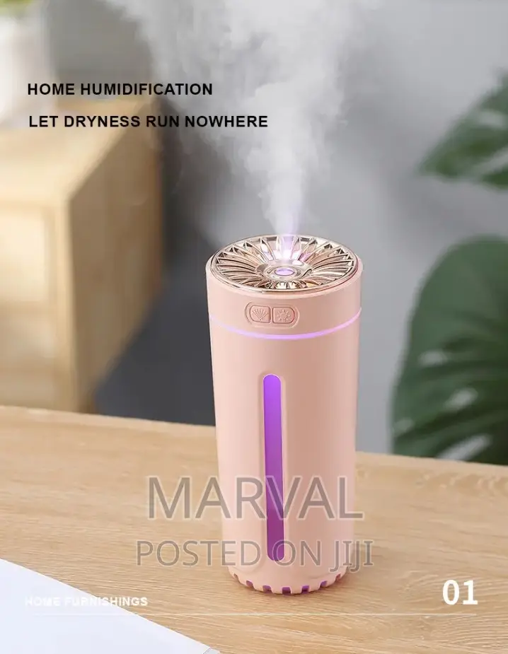Rechargeable 300mls Multifunctional Humidifier