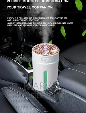 Rechargeable 300mls Multifunctional Humidifier