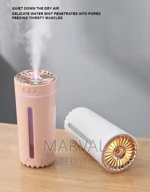 Rechargeable 300mls Multifunctional Humidifier