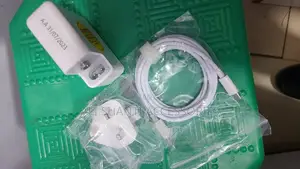 Apple Adapter/Apple Charger