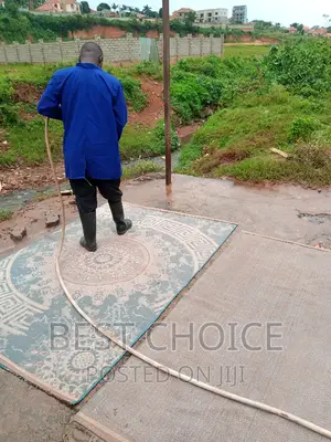 Revive Your Carpet With the Best Cleaning Services.