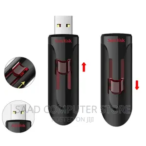 Sandisk Flash Drives