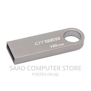 Sandisk Flash Drives