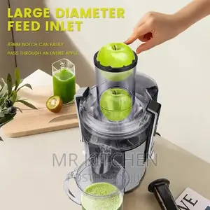 DSP Juice Extractor