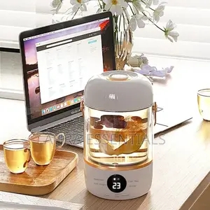 900ml Multifunctional Electric Kettle