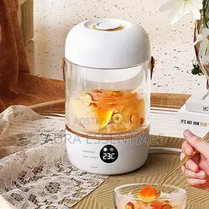 900ml Multifunctional Electric Kettle