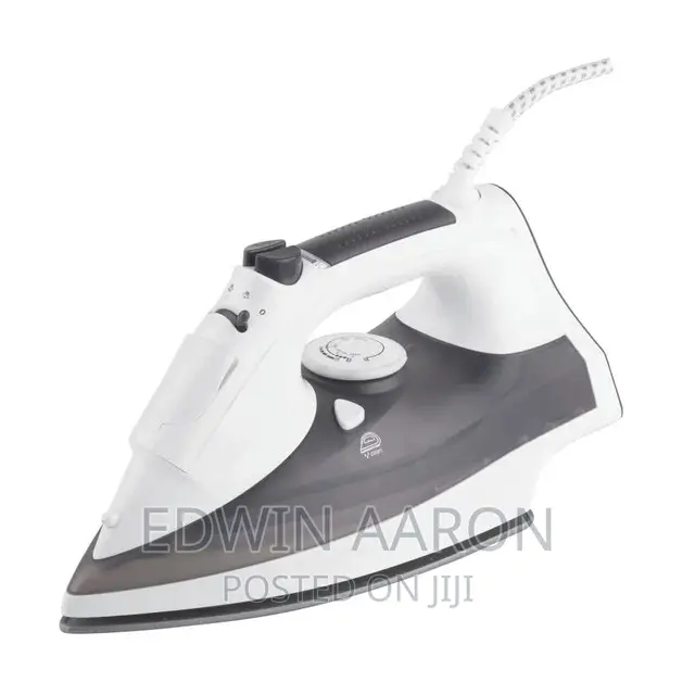 Sanform Electric Steam Iron