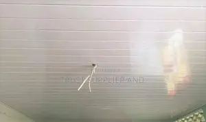 Plain White PVC Ceiling