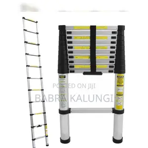 Aluminum Extension Step Ladder