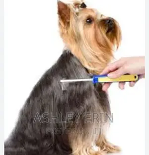 Pet Dog Comb