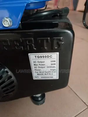 Gasoline Generator 1kv