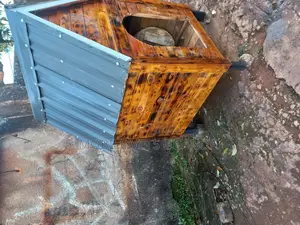 Dog House and Cats