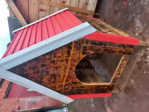 Dog House Cats