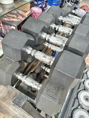 Dumbbells (All Sizes)