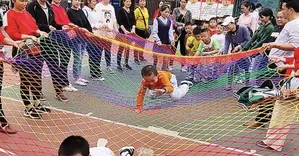 Safety Mesh Net