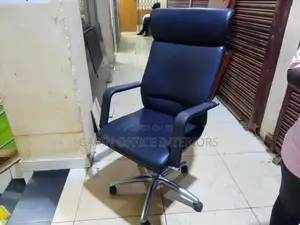 Long Back Office Chair