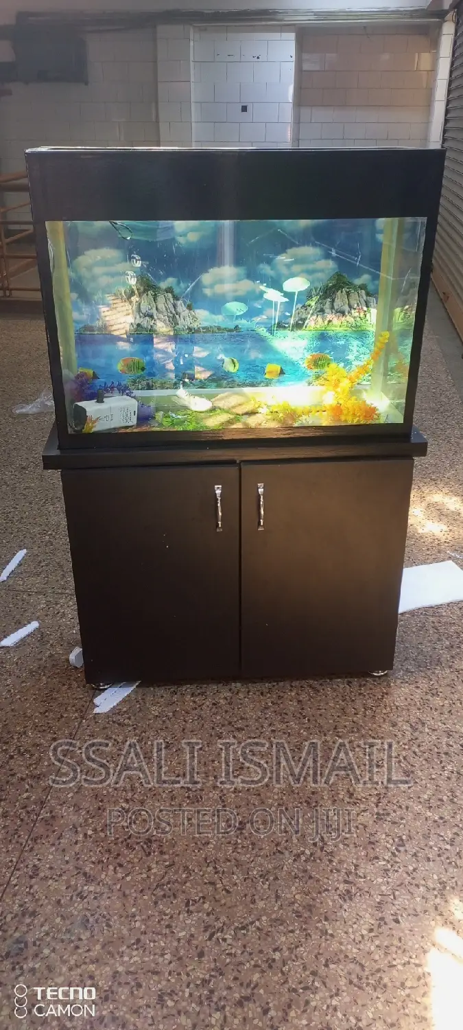 Medium Size Black Aquarium