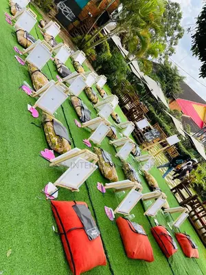 Grass Carpets/Grass Carpets/Artificial Turf Grass