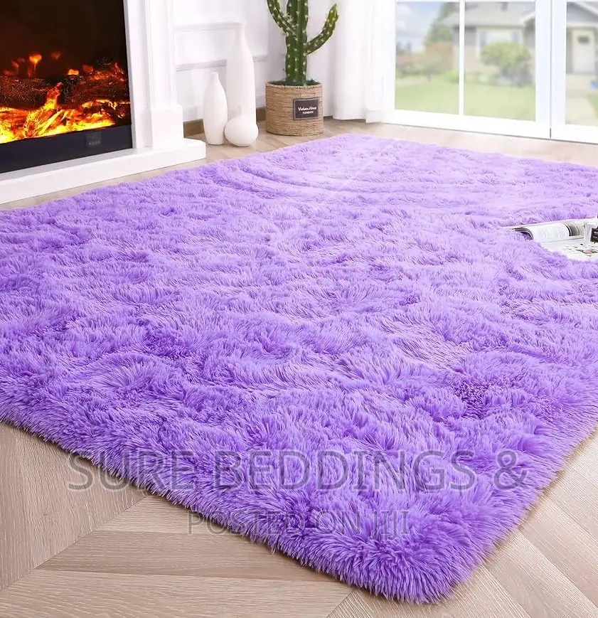 Modern Fluffy Carpet
