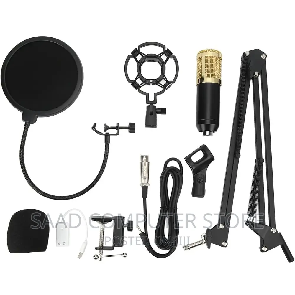 Professional Condenser Microphone