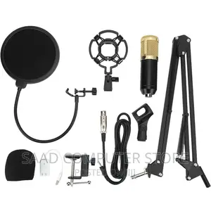 Professional Condenser Microphone