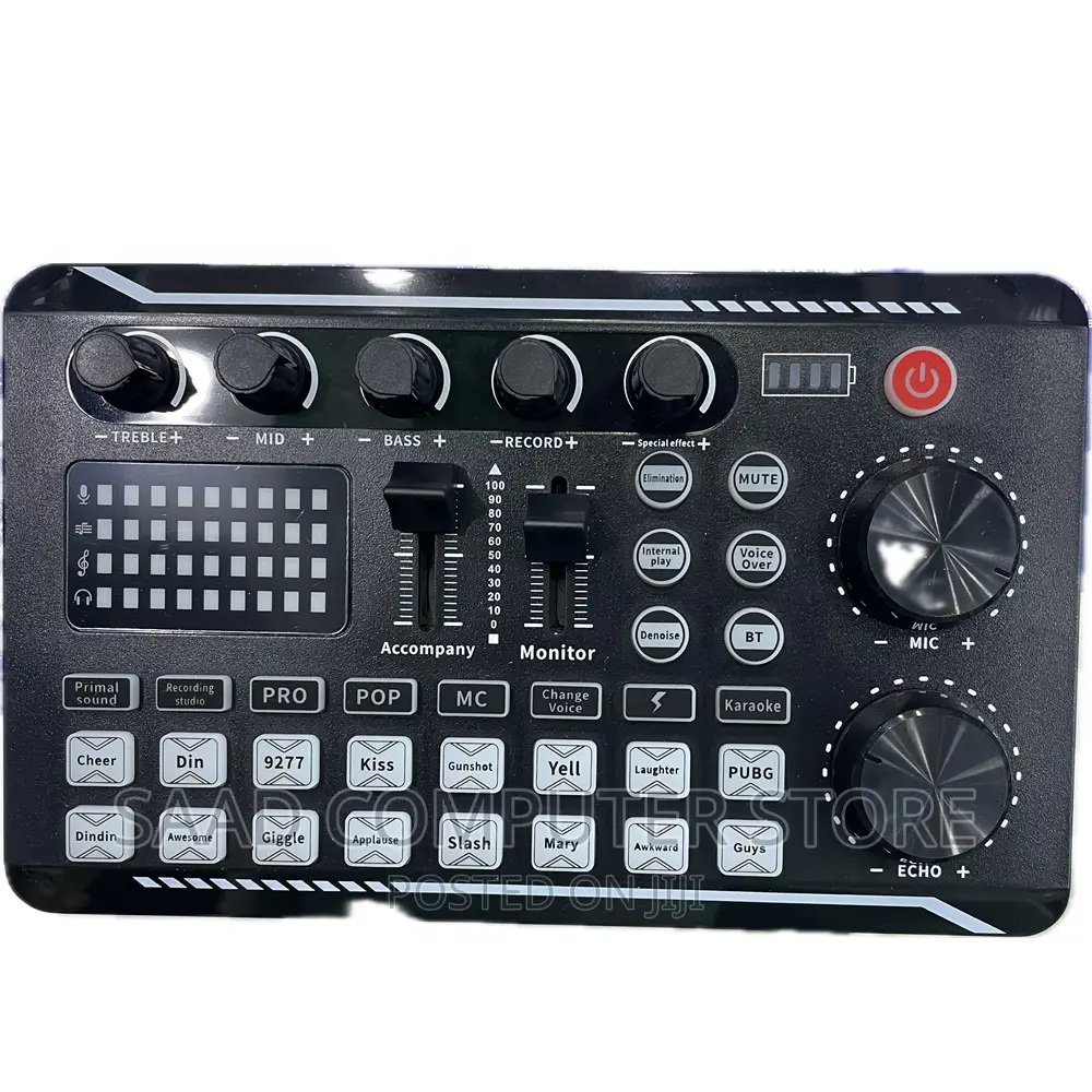 Professional Condenser Microphone