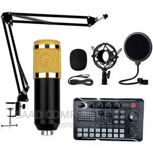 Professional Condenser Microphone