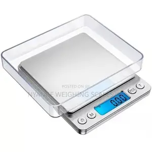 Mini Scale Portable Weighing Scale
