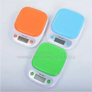 Portable Digital Table Top Weighing Scale (23)