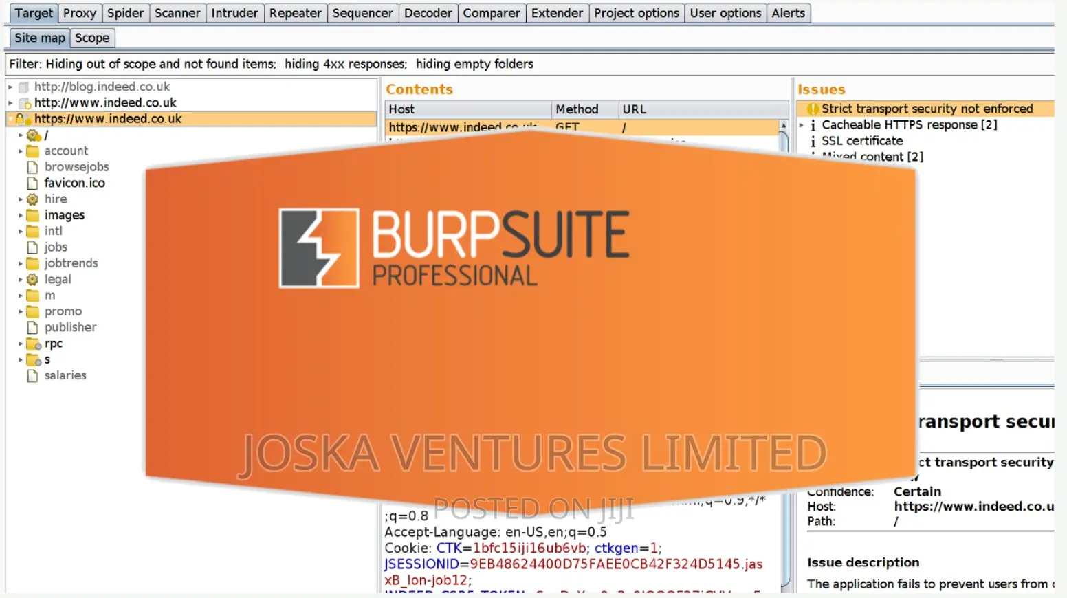 Burp Suite Professional