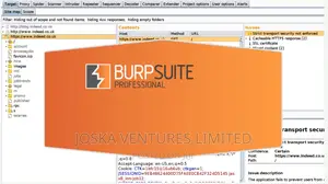 Burp Suite Professional
