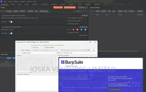 Burp Suite Professional