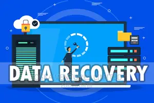 Data Recovery Service