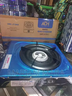 Gas Cooker Plate Single