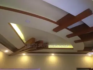 Gypsum Ceiling With Mahogany 0056