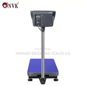 A12e Stainless Steel Platform Weighing Scale (2)