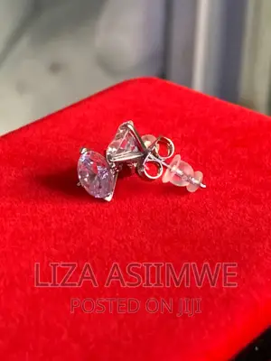 Ice Pins Available