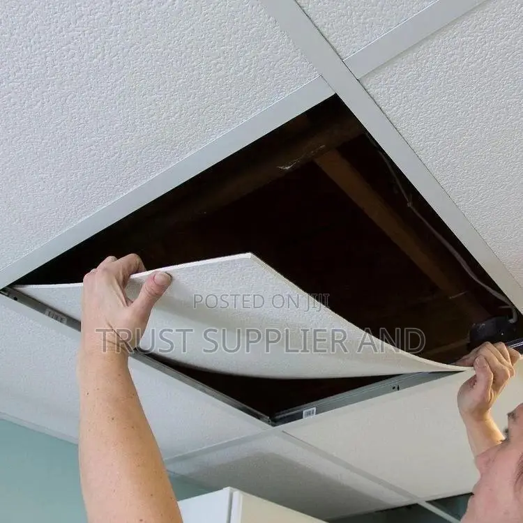 Suspended Ceiling Kungu 4