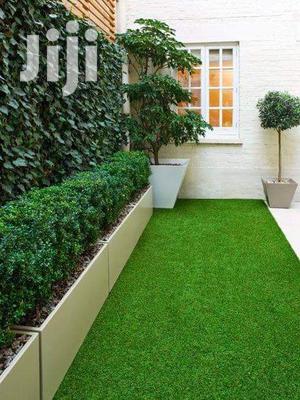 Grass Carpet