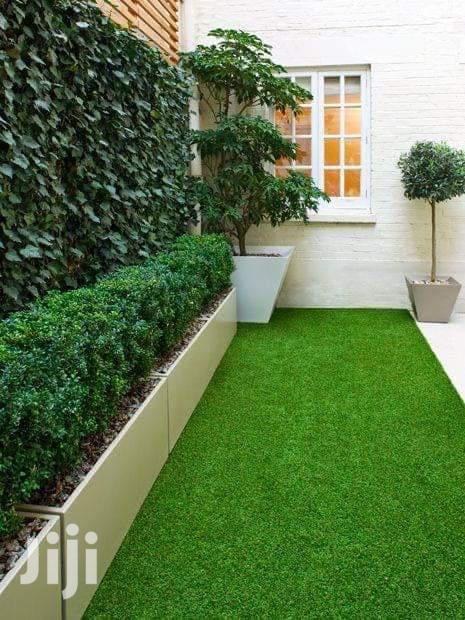 Grass Carpet